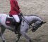 German Masters Rollkur