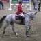 German Masters Rollkur