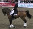 German Masters Rollkur