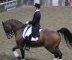 German Masters Rollkur