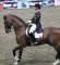 German Masters Rollkur