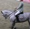 German Masters Rollkur