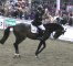 German Masters Rollkur